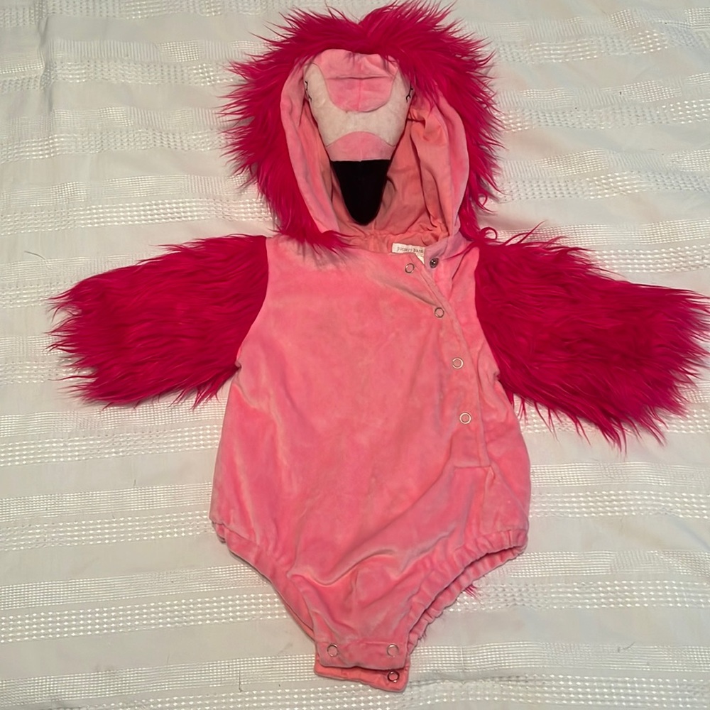 Pottery barn kids flamingo costume